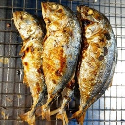 ปลาทูย่าง