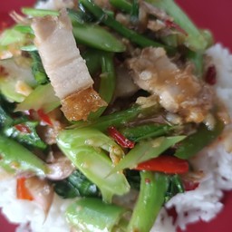 คะน้าหมูกรอป