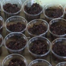 น้ำพริกขวัญใจ