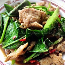 ข้าวราดคะน้าหมูชิ้น