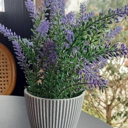 ปูจ๋า สุขประยูร สุขประยูร