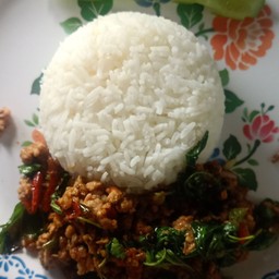 ผัดกระเพราหมูหมักราดข้าว