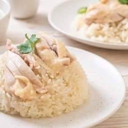 🌟ร้านข้าวมันไก่หน้าเทคโน เตี๋ยวไก่มะระ🌟 เทคโน