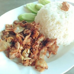 ข้าวหมูทอดกระเทียม