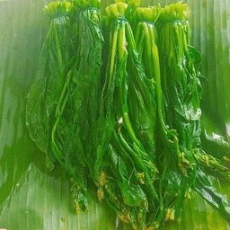 กวางตุ้งดอก