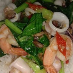 คะน้าทะเล