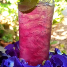 น้้้ำดอกอัญชัญมะนาว