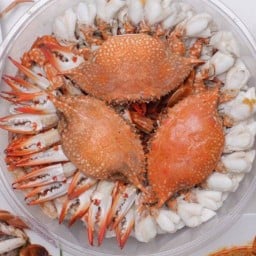 soseafood