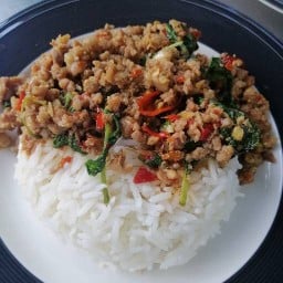 กะเพราฮ่องเต้