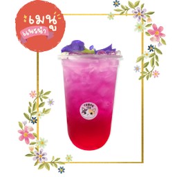 Red Butterfly pea Lemon