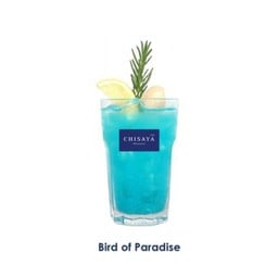 Bird Of Paradise