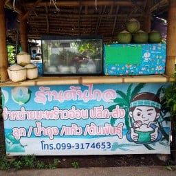 ต้นไกล มะพร้าวอ่อน🥥⛱️