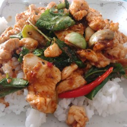 ผัดเผ็ดหมูใส่ใบยีหร่าราดข้าว(กระเพราควาย)