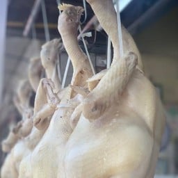 ไก่ 1 ตัว