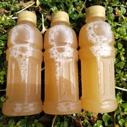 ป๊อบคอร์น&น้ำตาลสดบ้านแพ้ว ป๊อบคอร์น&น้ำตาลสดบ้านแพ้ว