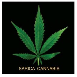 Sarica