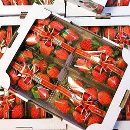 สตอเบอร์รี่เกาหลี 1 กล่อง มี 4 แพ็ค