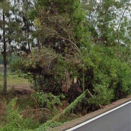 บ่อปลากันคล้อย สายชล สุนันทา คลอง 14