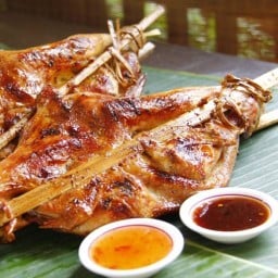ไก่บ้านย่างเขาสวนกวาง วิวพ้อยท์ ซอยเอแบคบางนา