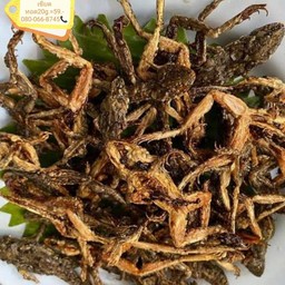 เขียดทอด10g99.-