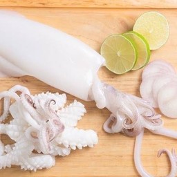 ปลาหมึก