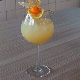 Yuzu Aloe Vara Jelly