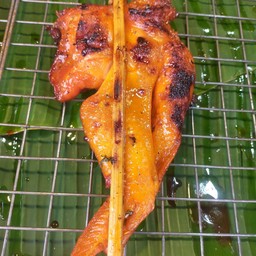 ปีกไก่ติดตัวย่าง