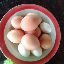 ร้านขนมจีนเส้นสดบ้านครูแหม่ม