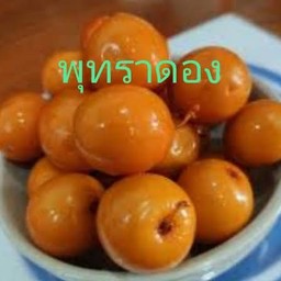 ผลไม้พร้อมหม่ำ