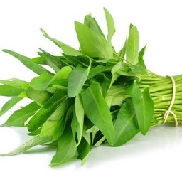 ผักบุ้ง