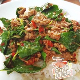 กระเพราเนื้อดาวกระจาย