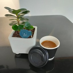 Caffeine Coffee