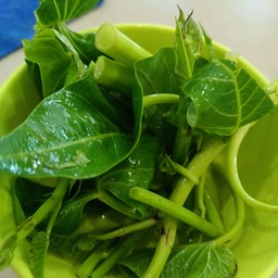 เพิ่มผักบุ้งไทย