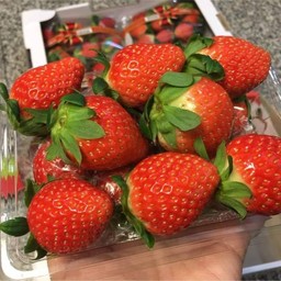 สตอเบอรี่น้ำหนักต่อแพ็ค 200 กรัมถึง 300 ดรัม