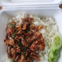 ผัดกระเพราหมูชิ้นพริกสด