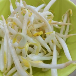 เพิ่มถั่วงอก