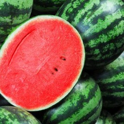 แตงโมครึ่งลูก