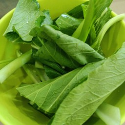 เพิ่มผักกวางตุ้ง