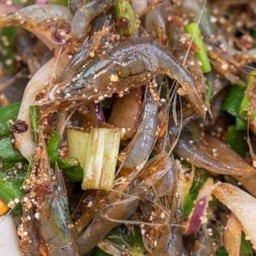 กุ้งเต้นอินดี้4289