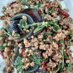 ข้าวกะเพราไข่เยี่ยวม้า