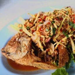 ปลาทับทิมลุยสวน