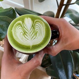HOT MATCHA LATTE