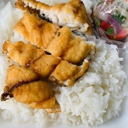 ข้าวปลาแกะ ปากซอยพหลโยธิน35