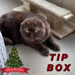 ให้ทิปน้องอีวาน