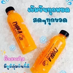 น้ำส้มสดพร้อมน้ำแข็ง