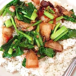 เจ๊น้องต้นหูกวาง