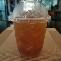 เก๊กฮวยเย็น