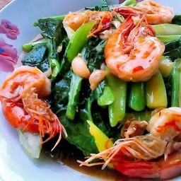ผัดคะน้ากุ้ง