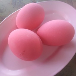 ไข่เยี่ยวม้า