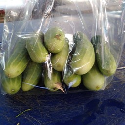 แตงกวา(ลูกเล็ก)